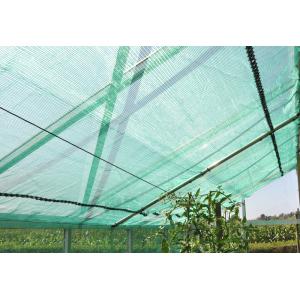 Schermgaas groen voor tuinkas 300 cm Schermgaas groen voor tuinkas 300 cm